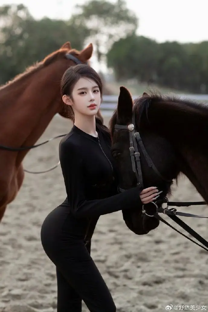 台州麻将线下比赛现场